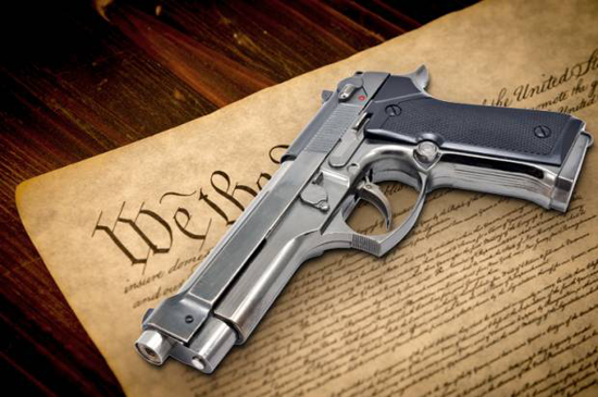 constitution_gun-620x412