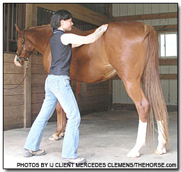 Mercedes Clemens a licensed massage therapist suied for the right to practice on animals in Maryland.