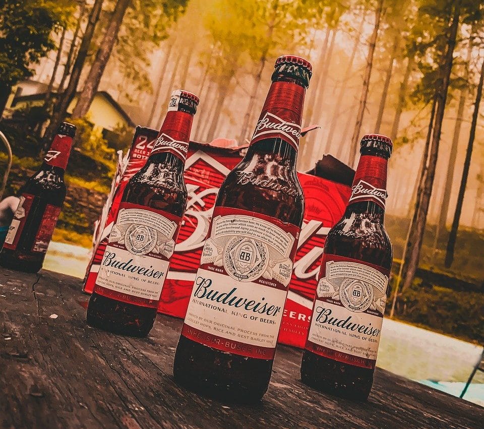 Пиво budweiser фото