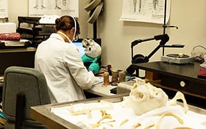 This image has an empty alt attribute; its file name is PIMA_LAB_1-800x500-1-1.jpeg