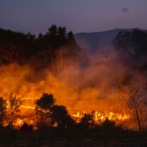 Arizona deploys AI cameras to spot wildfires early