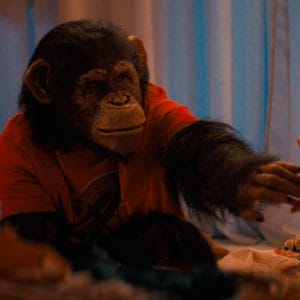 Keith’s Movie Korner: Not worth monkeying around with this ‘Primate’