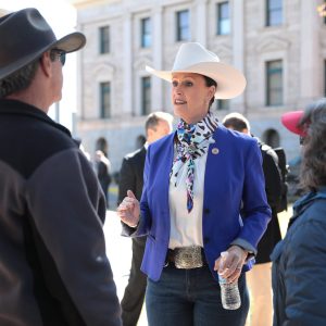 Cowboy hats and politics: The hats of Arizona’s senators