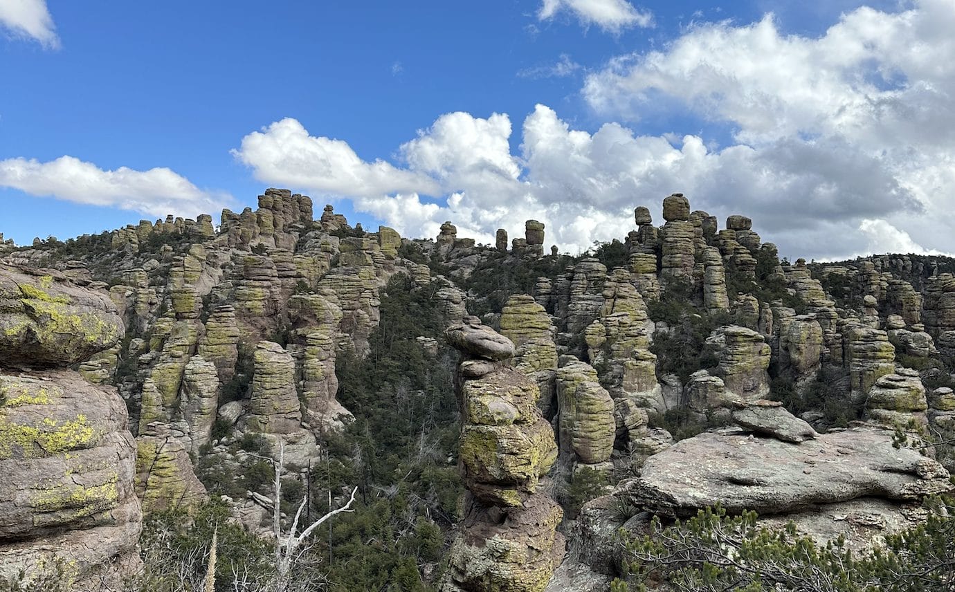 Chiricahua Mountains