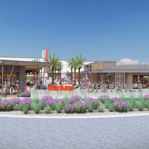 Vestar marks milestone year