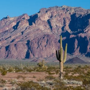 Defense companies target Arizona for expansion