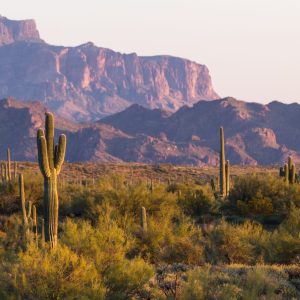 Arizona signs trade pact with Japan