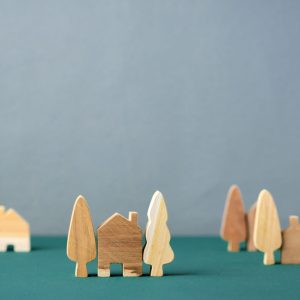 Top Valley luxury home sales