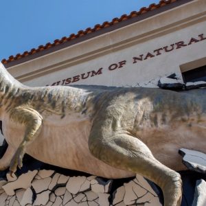 Grand vision pitched for Mesa museum