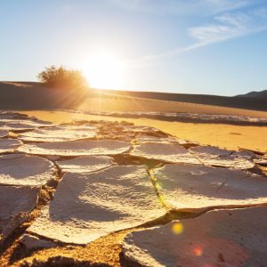 As drought worsens, Western states brace for wildfires, water shortages