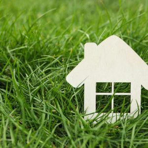 Gilbert land to hit auction block
