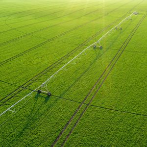 Attorney general and Fondomonte clash over trial date in groundwater dispute; Rose Law Group litigator Briana Campbell calls out the state’s arguments on behalf of the company