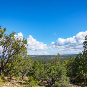 Coronado National Forest acquires acreage near Oracle